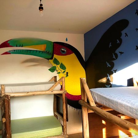 Katsbarnea Hostel Florianópolis المظهر الخارجي الصورة