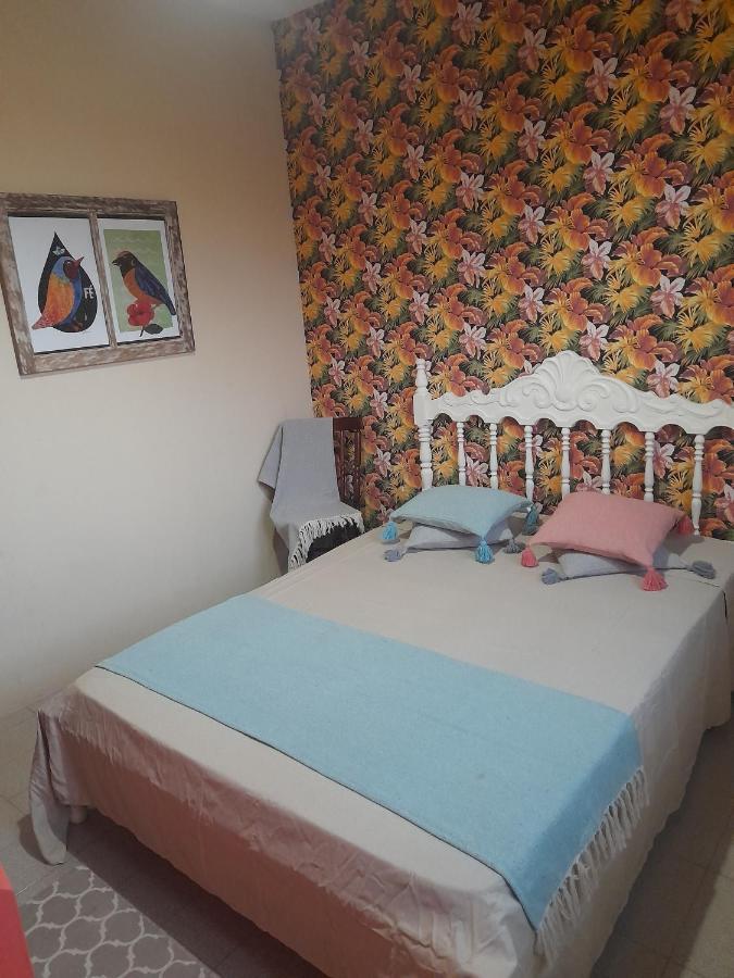Katsbarnea Hostel Florianópolis المظهر الخارجي الصورة