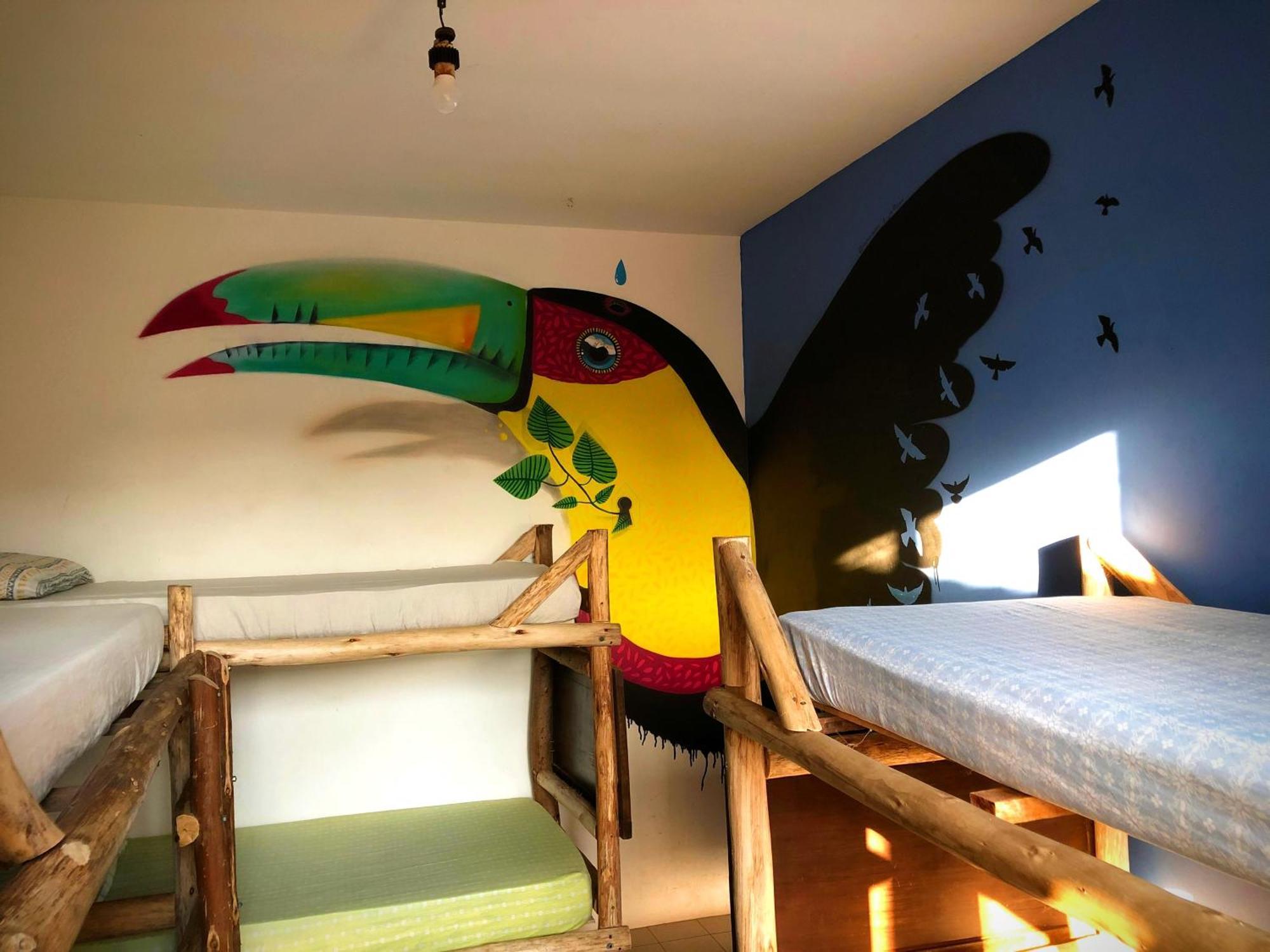 Katsbarnea Hostel Florianópolis المظهر الخارجي الصورة